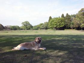 2013042506.jpg