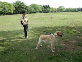 2013042507.jpg