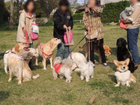 2013042509.jpg