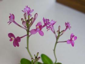 2013042702.jpg