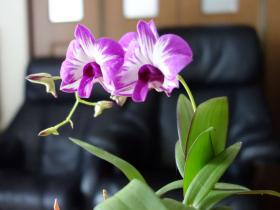 2013042703.jpg