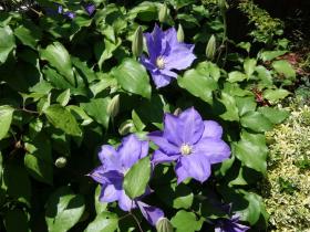 2013042706.jpg