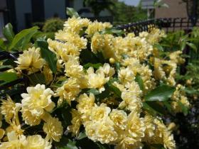 2013042707.jpg