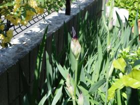 2013042708.jpg