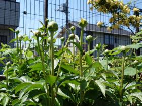 2013042709.jpg