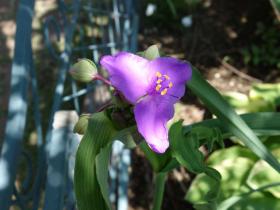2013042711.jpg