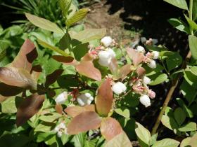 2013042712.jpg