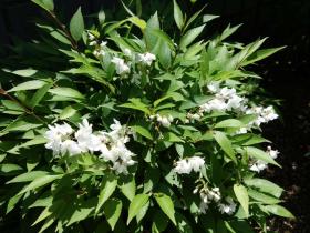 2013042713.jpg