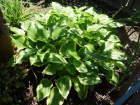 2013042714.jpg