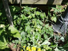 2013042715.jpg