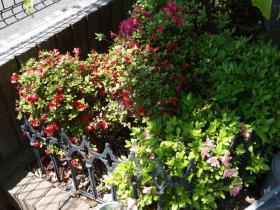 2013042716.jpg