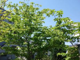 2013042717.jpg