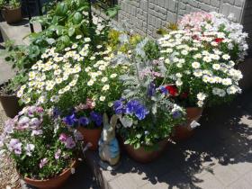 2013042718.jpg