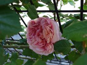 2013042719.jpg