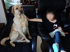 2013051101.jpg