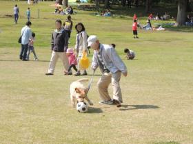 2013051107.jpg