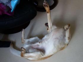 2013051109.jpg