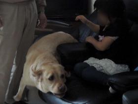 2013051110.jpg