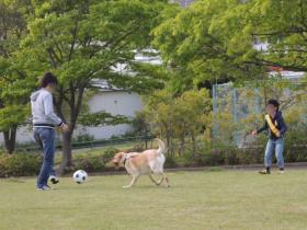 2013051111.jpg