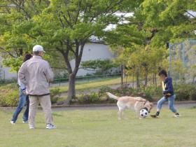 2013051112.jpg