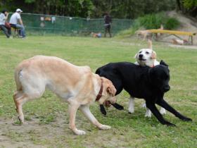 2013052907.jpg