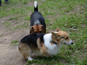 2013052910.jpg