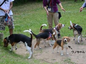 2013052913.jpg