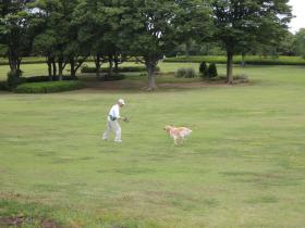 2013060601.jpg