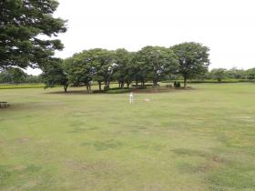2013060602.jpg