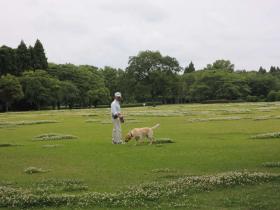 2013060604.jpg