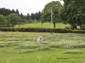 2013060606.jpg