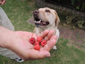 2013061201.jpg