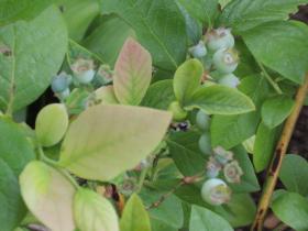 2013061206.jpg