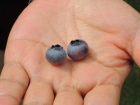 2013062901.jpg
