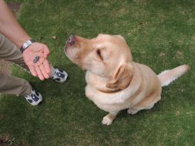2013062902.jpg