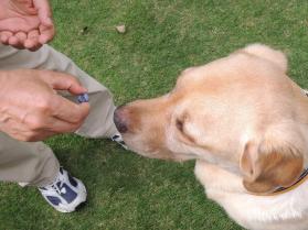 2013062903.jpg