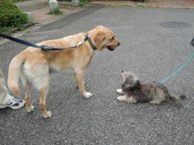 2013080301.jpg