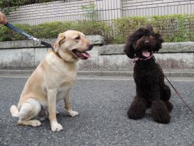 2013080302.jpg