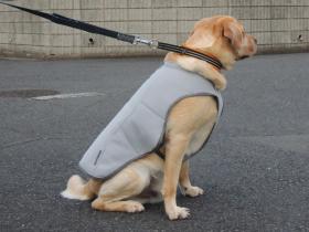 2013080303.jpg