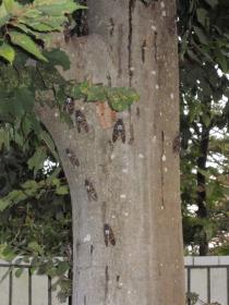 2013080305.jpg
