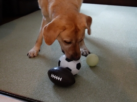 2013101805.jpg