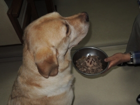2013101811.jpg