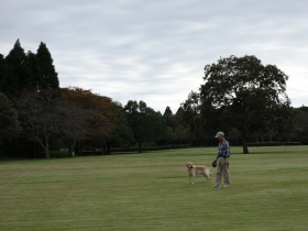 2013102201.jpg