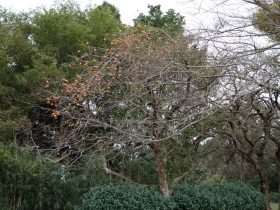 2013102202.jpg