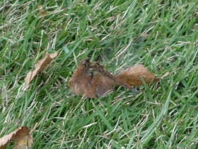 2013102203.jpg