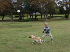 2013102206.jpg