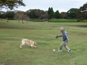 2013102207.jpg