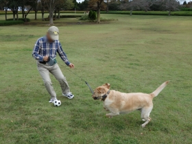 2013102208.jpg