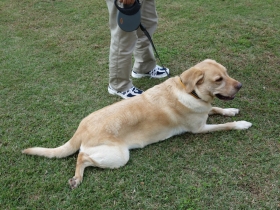 2013102210.jpg