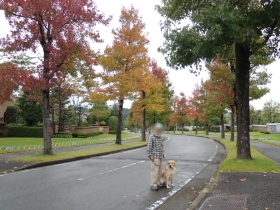 2013102402.jpg